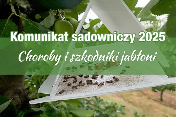 Kom unikat sadowniczy. Choroby i szkodniki jabłoni. 