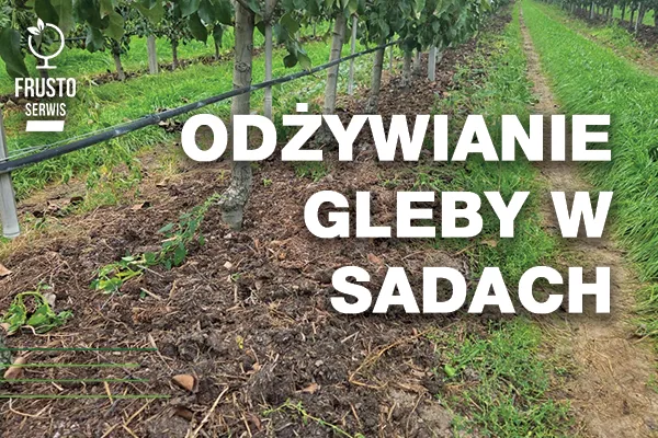 widok gleby żyznej w sadzie 