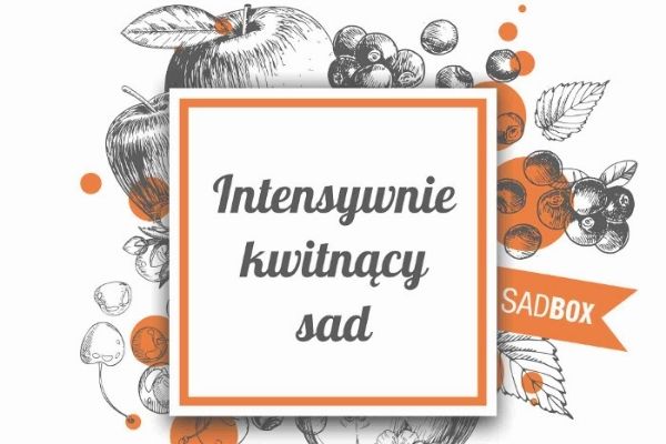 SadBox Kwitnienie – intensywnie kwitnący sad