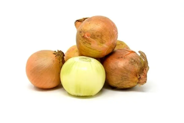 sześć żółtych cebul na biały tle