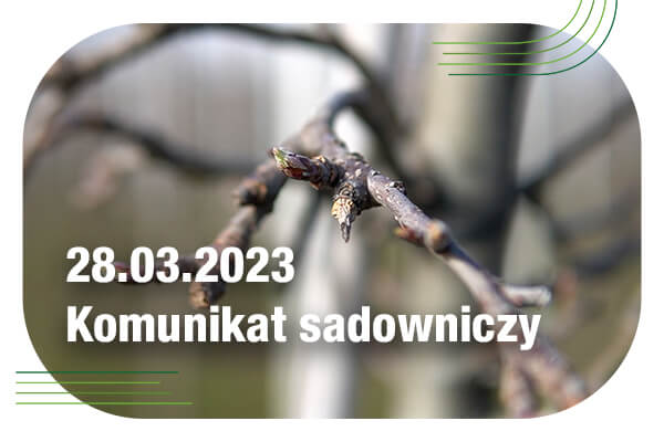 Komunikat sadowniczy 28.03.2023 // nawożenie doglebowe w sadzie, choroby kory i drewna