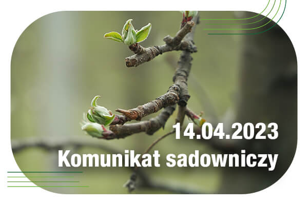 Komunikat sadowniczy 14.04.2023 // zabiegi zapobiegawcze, ditianon oraz preparaty miedziowe