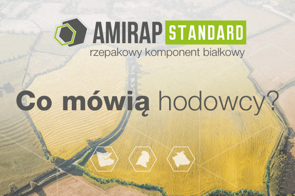 Amirap Standard: opinie klientów. Co hodowcy trzody, drobiu i bydła mówią o produkcie?