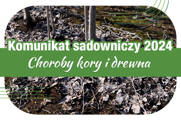 ​Komunikat sadowniczy 06.03.2024 r. // choroby kory i drewna