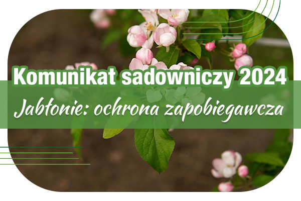 Komunikat sadowniczy 18.04.2024 r. // ochrona zapobiegawcza