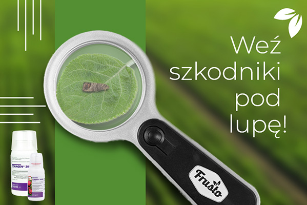 ​Weź szkodniki pod lupę! Wyjątkowa promocja