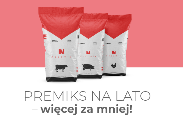 Premiks na lato – więcej za mniej!