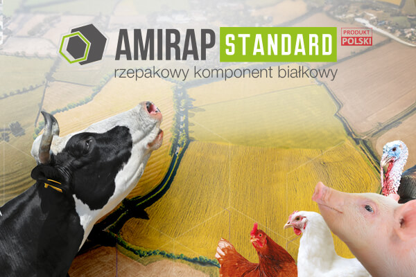 Korzyści z kontraktacji Amirap Standard