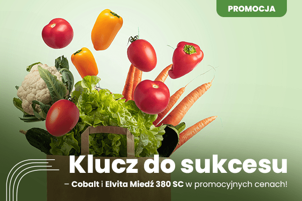 Klucz do sukcesu – Cobalt i Elvita Miedź 380 SC w promocyjnych cenach!