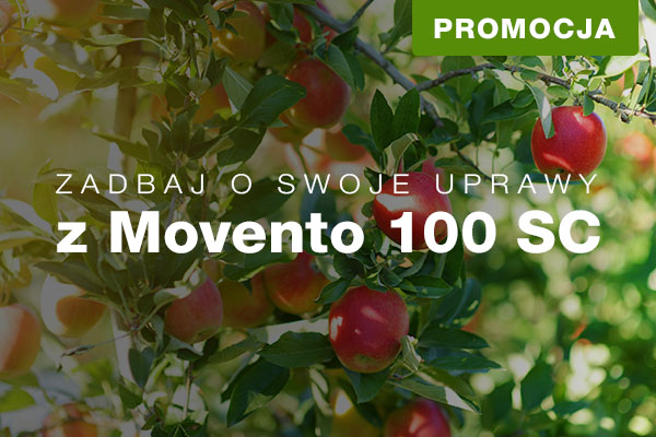 Movento 100 SC – wydajna ochrona Twoich upraw!