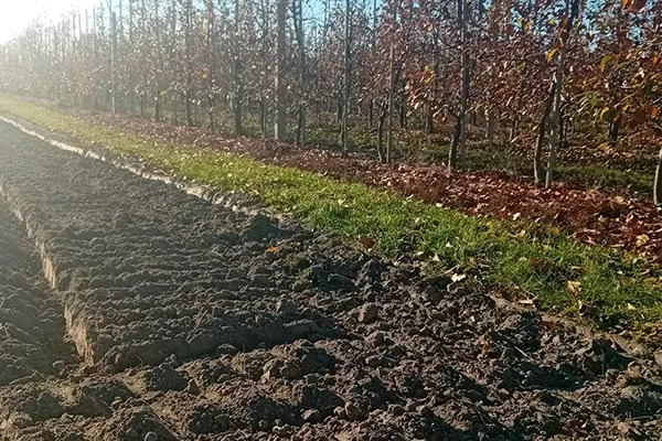 widoczny sad oraz ziemia po orce