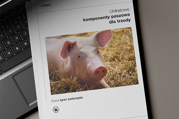 Najnowszy katalog – żywienie świń