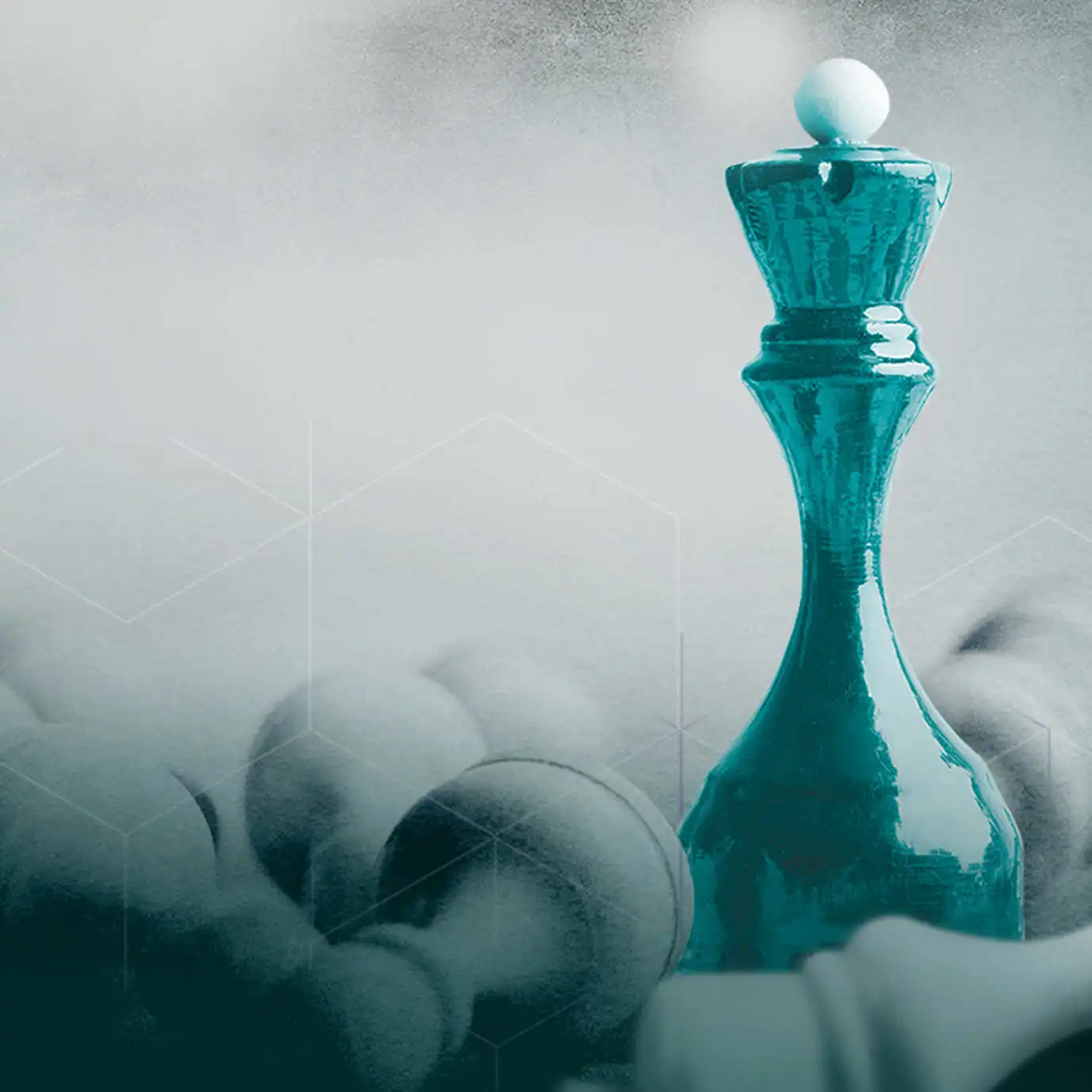 Prosoja Bona w żywieniu drobiu.