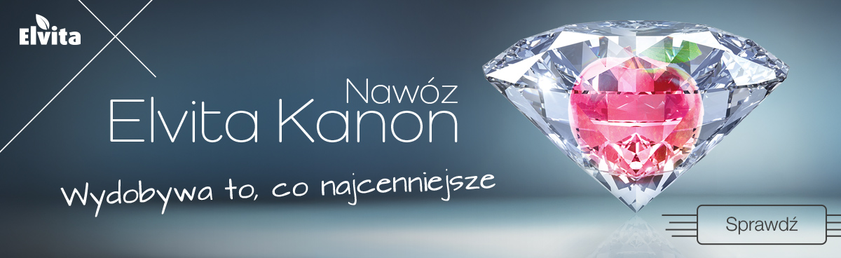 Kanon