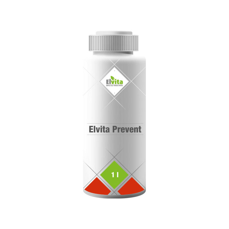 elvita-prevent-1_big.jpg