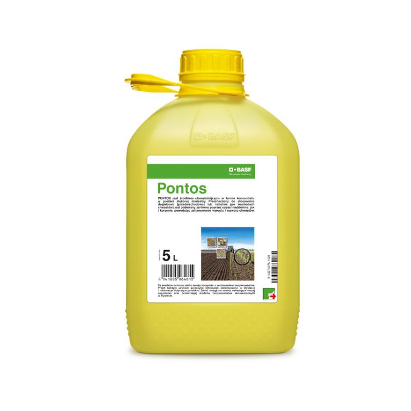 pontos-5_big.jpg