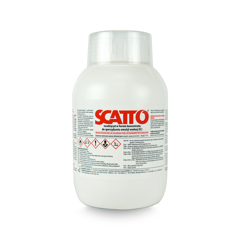 scatto-05l-tlo_big.png