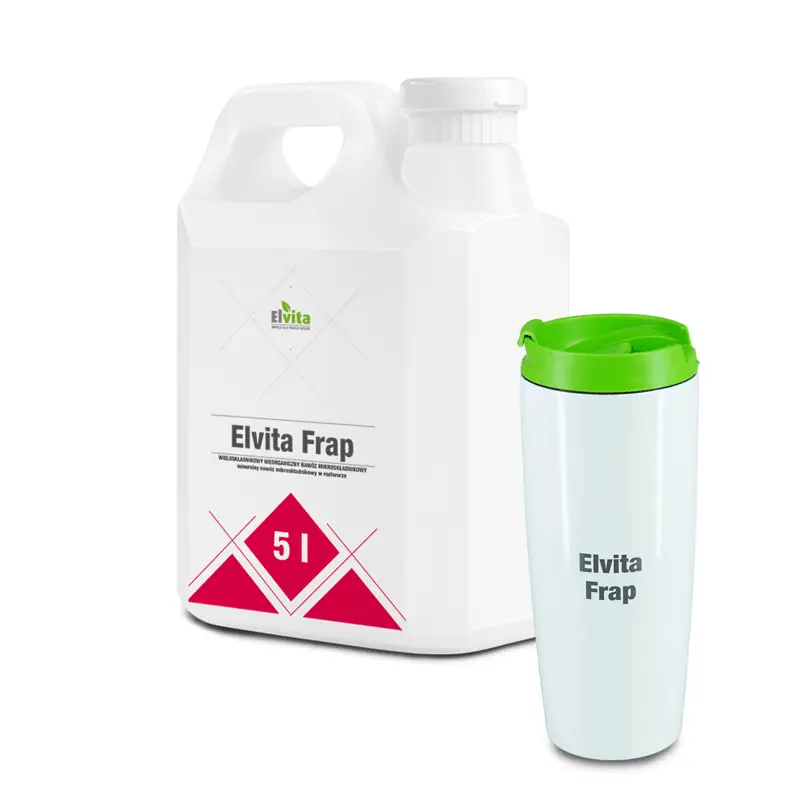 Zestaw Elvita Frap + kubek termiczny