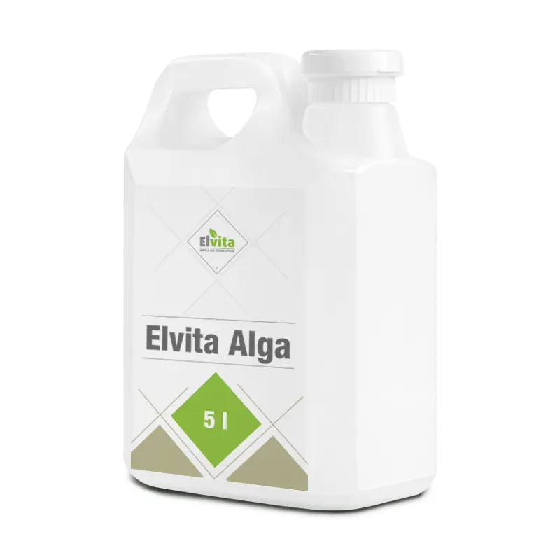 Elvita Alga 5l