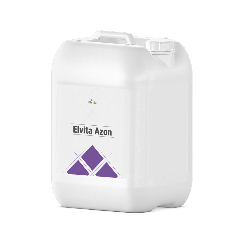 elvita-azon_big.jpg
