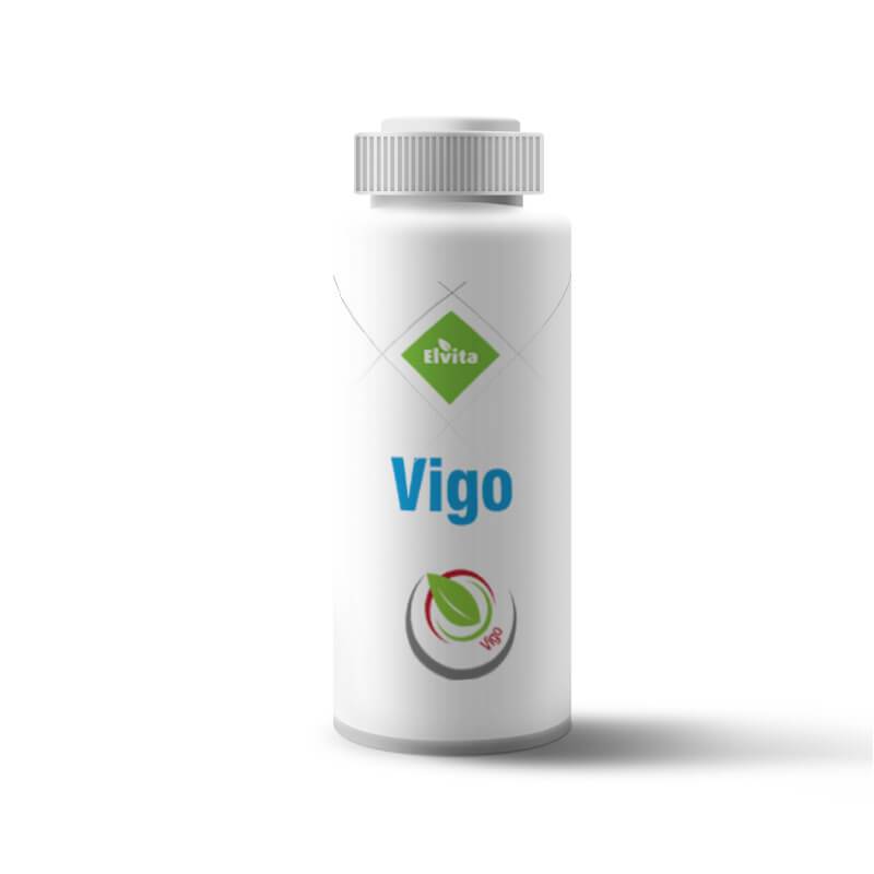 elvita-vigo-1_big.jpg