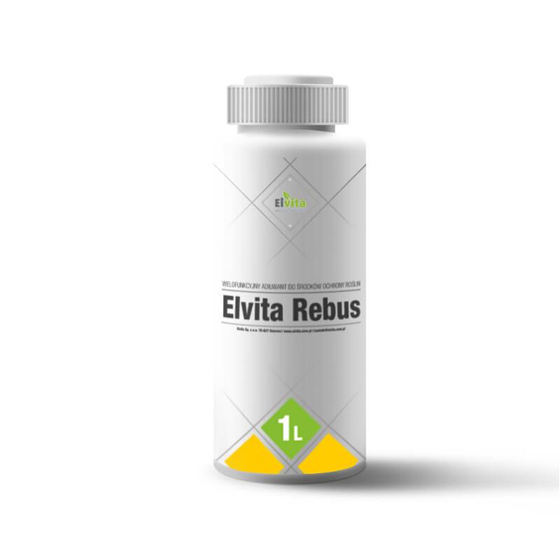 elvita-rebus-1_big.jpg