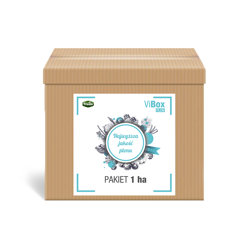 vibox-plon_big.png