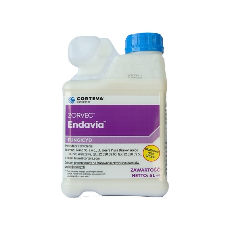 zorvec-endavia-5_big.jpg